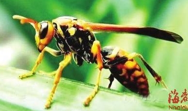 請?zhí)砑訄D片